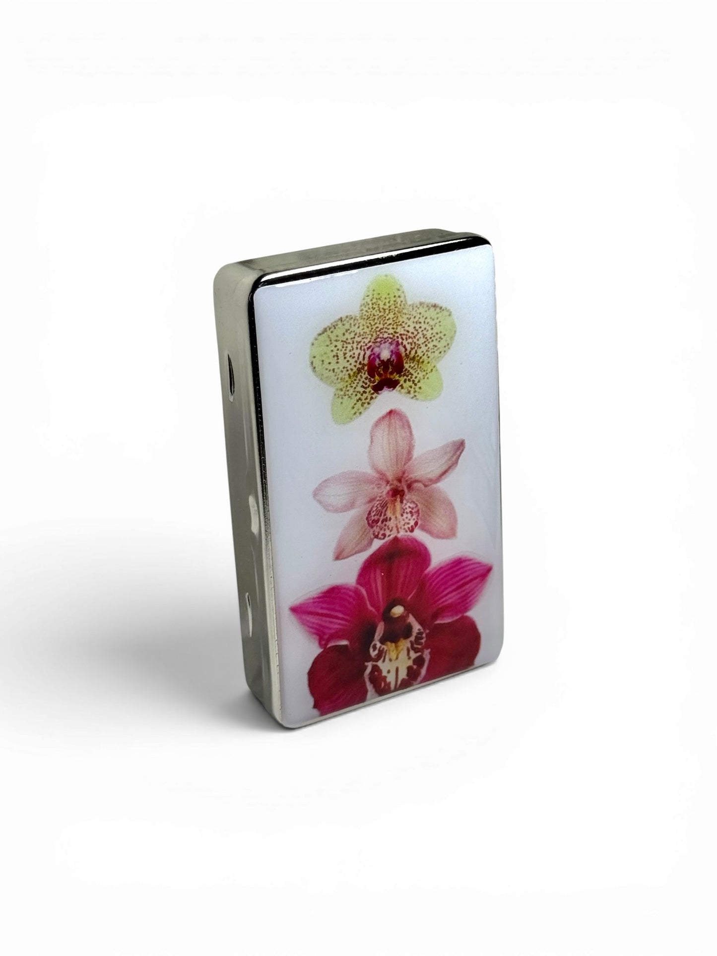 Orchid Bloom