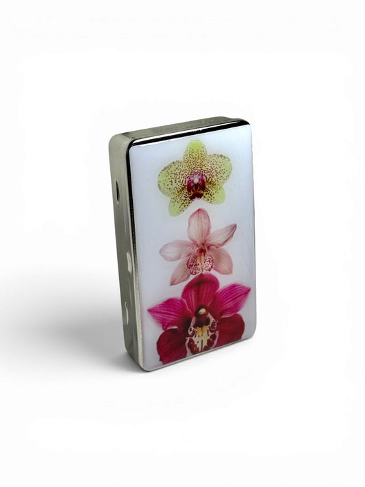 Orchid Bloom